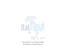 logo Italcase Affiliato Professional Team Virgilio