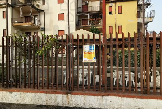 immagine principale