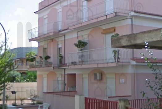 immagine principale