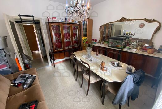 immagine principale