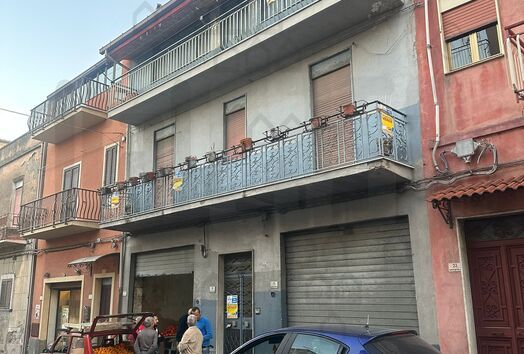 immagine principale