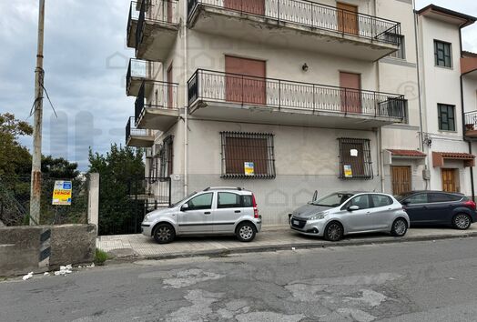 immagine principale