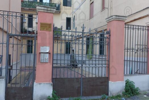 immagine principale