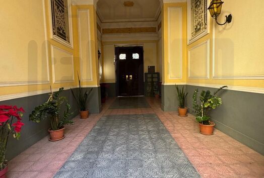immagine principale