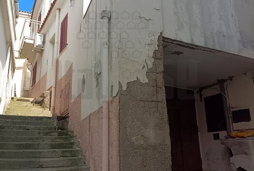 immagine principale