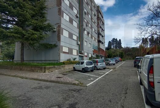 immagine principale
