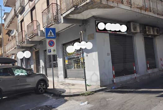 immagine principale