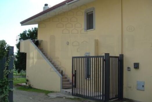 immagine principale