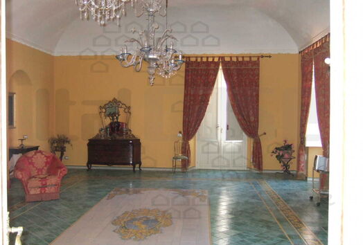 immagine principale