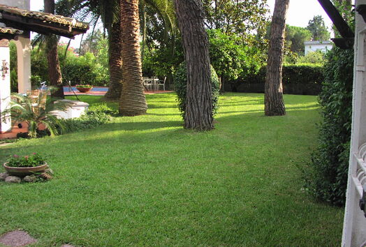 immagine principale