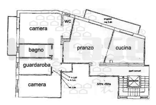 immagine principale