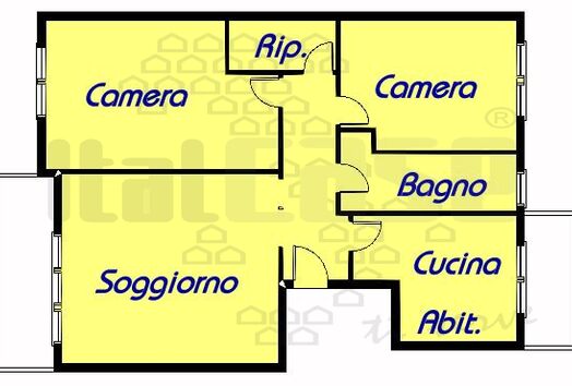 immagine principale