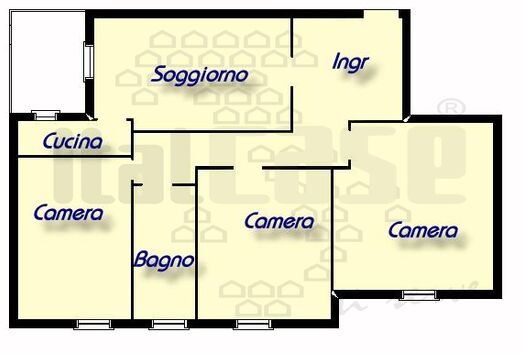 immagine principale