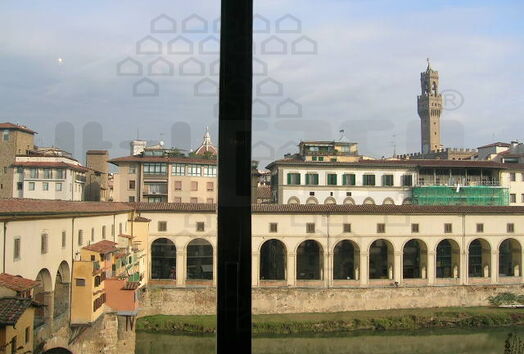 immagine principale