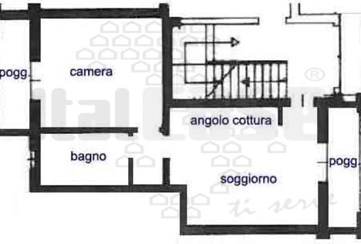 immagine principale