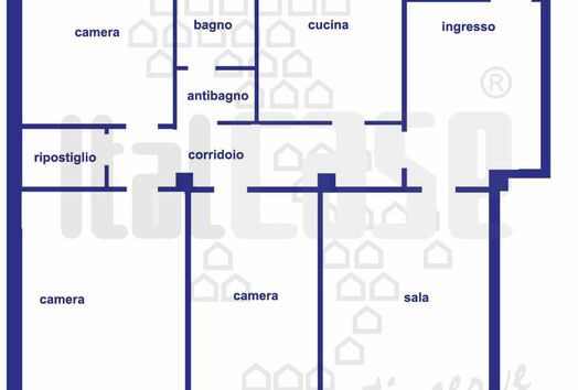 immagine principale