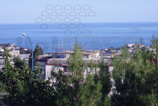 immagine principale