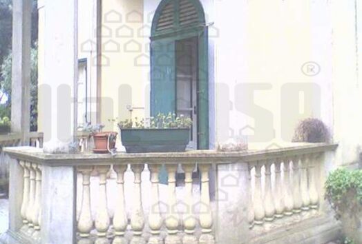immagine principale