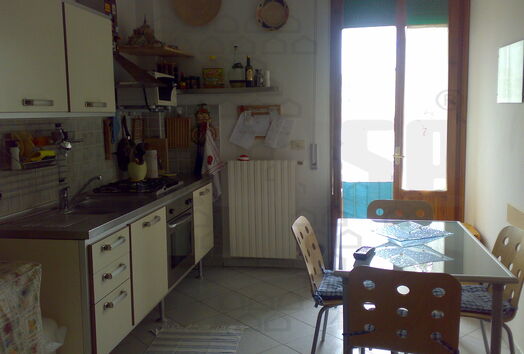 immagine principale