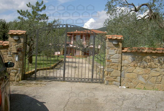 immagine principale