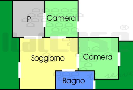 immagine principale