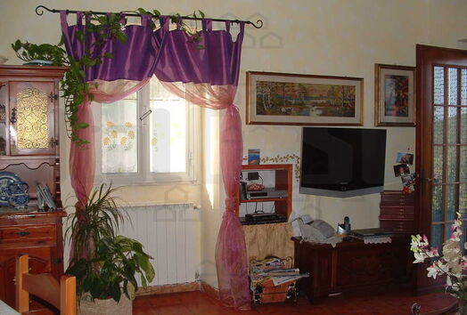 immagine principale