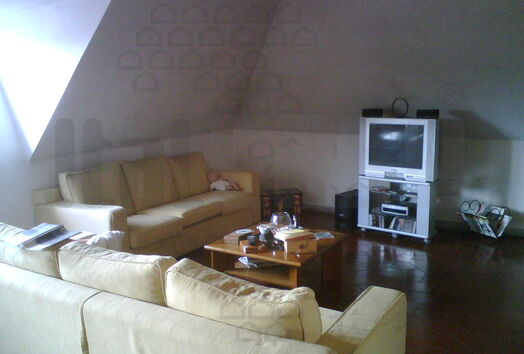 immagine principale