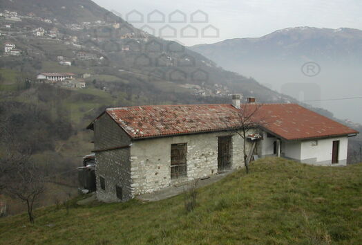 immagine principale
