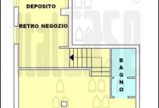 immagine principale