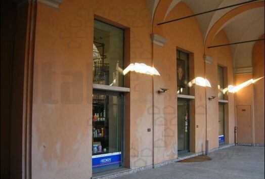 immagine principale