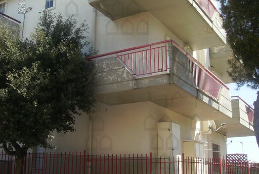 immagine principale
