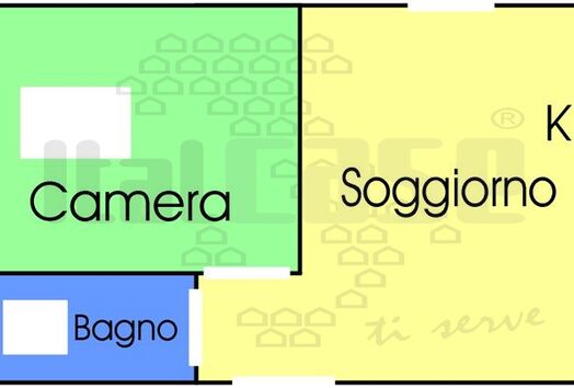 immagine principale