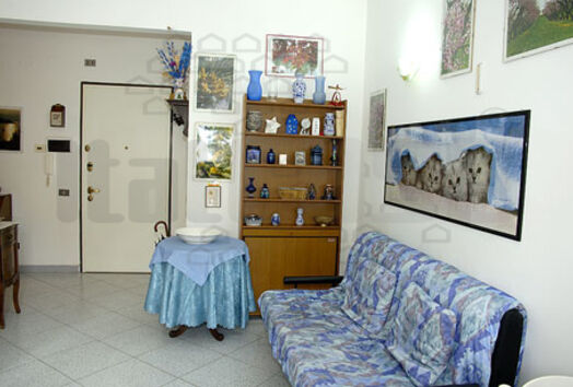immagine principale
