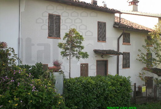 immagine principale