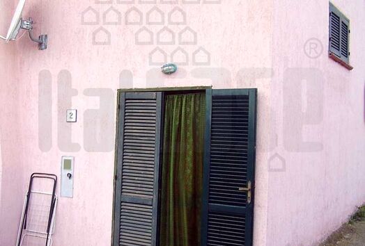 immagine principale