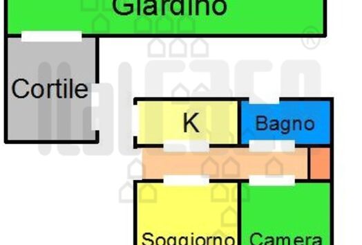 immagine principale