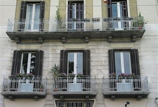immagine principale