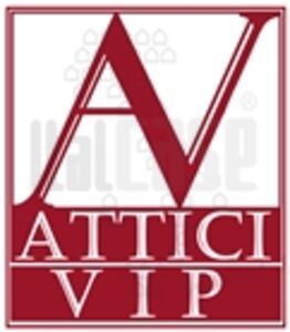 logo Partner Atticivip